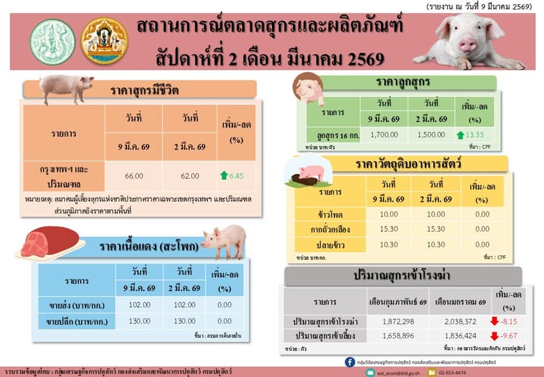 648844338 1354358326725810 6053469411424045001 n