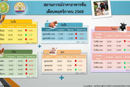 สถานการณ์ราคาอาหารข้น เดือนพฤศจิกายน 2568