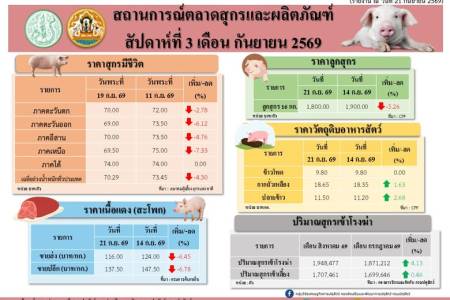 สถานการณ์ตลาดสุกรและผลิตภัณฑ์ สัปดาห์ที่ 3 เดือนกันยายน 2569