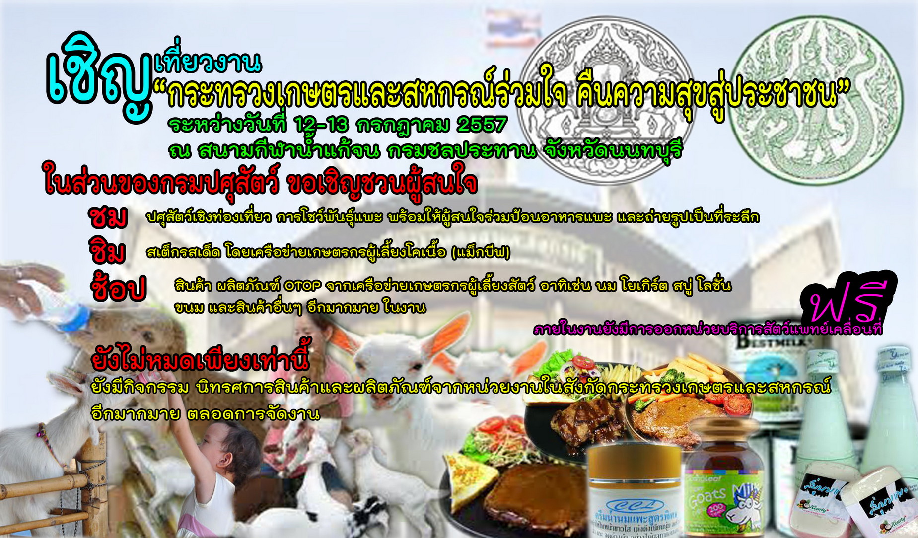 minifp2014070401